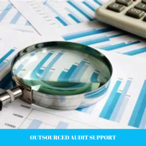 Outsourced Audit Support